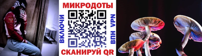 как найти наркотики  Славянск-на-Кубани  Галлюциногенные грибы Psilocybine cubensis 
